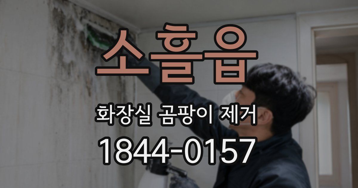 소흘읍 화장실 곰팡이 제거