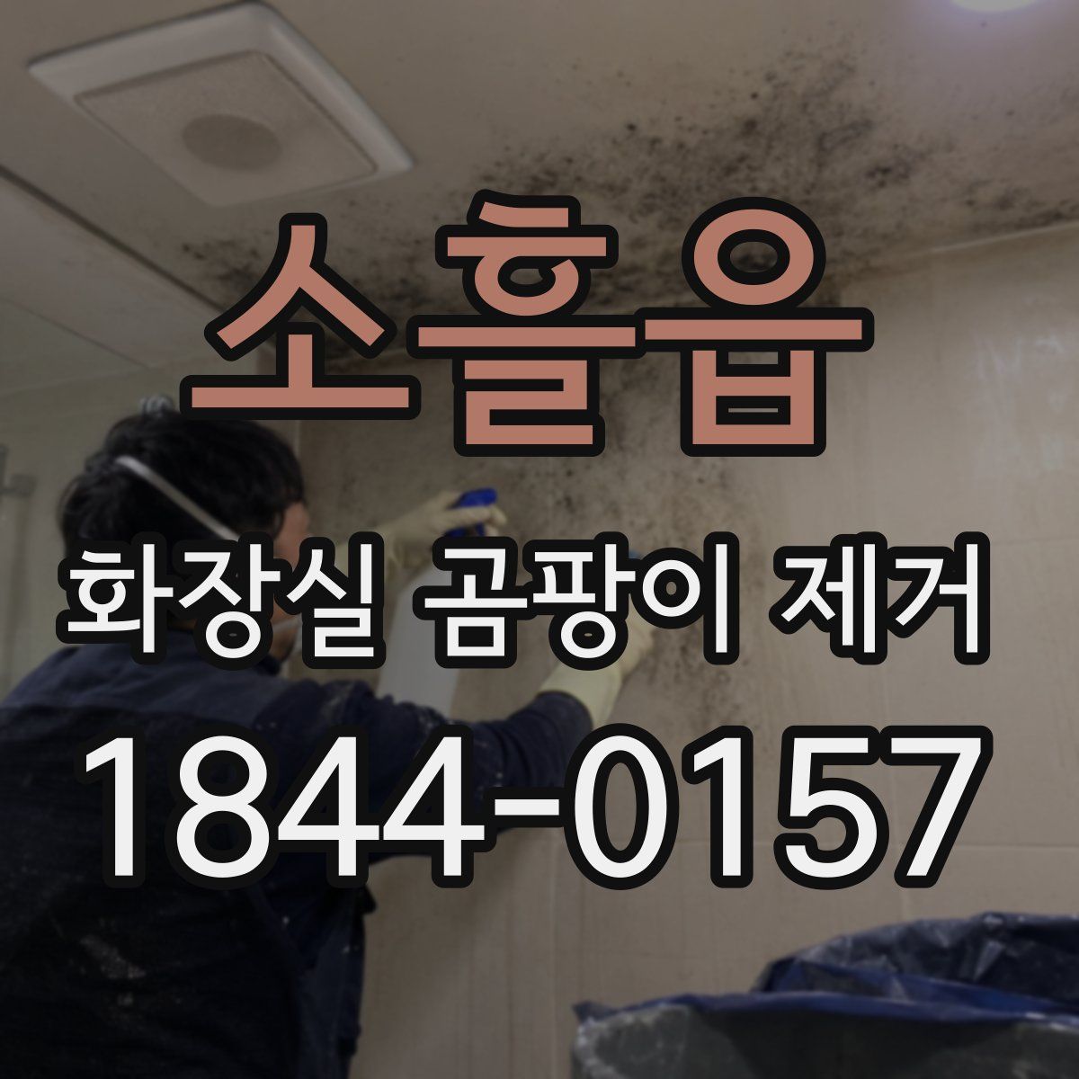 소흘읍 화장실 곰팡이 제거
