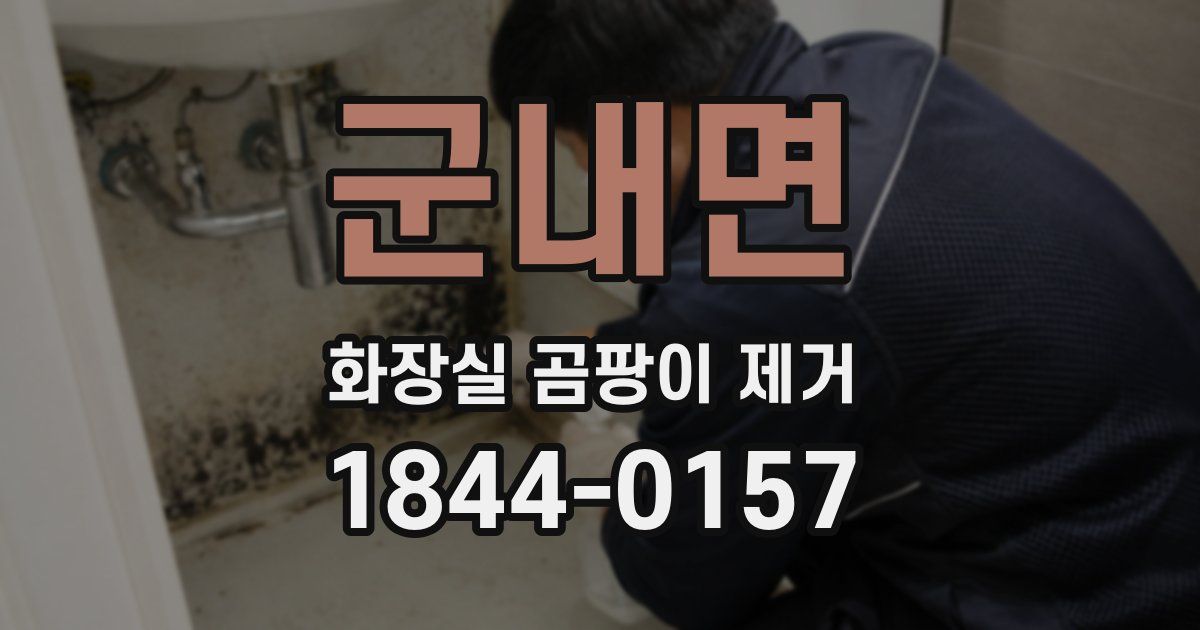 군내면 화장실 곰팡이 제거
