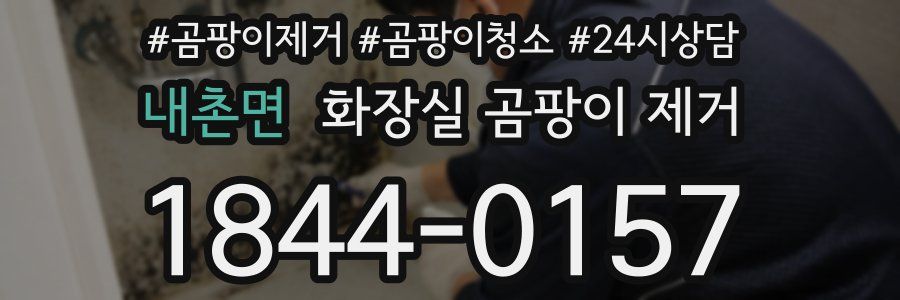 내촌면 화장실 곰팡이 제거