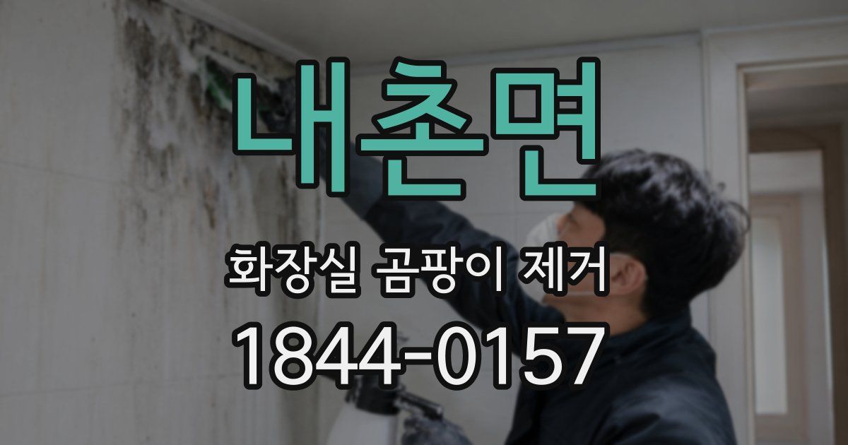 내촌면 화장실 곰팡이 제거