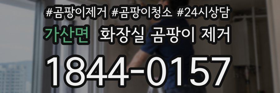 가산면 화장실 곰팡이 제거