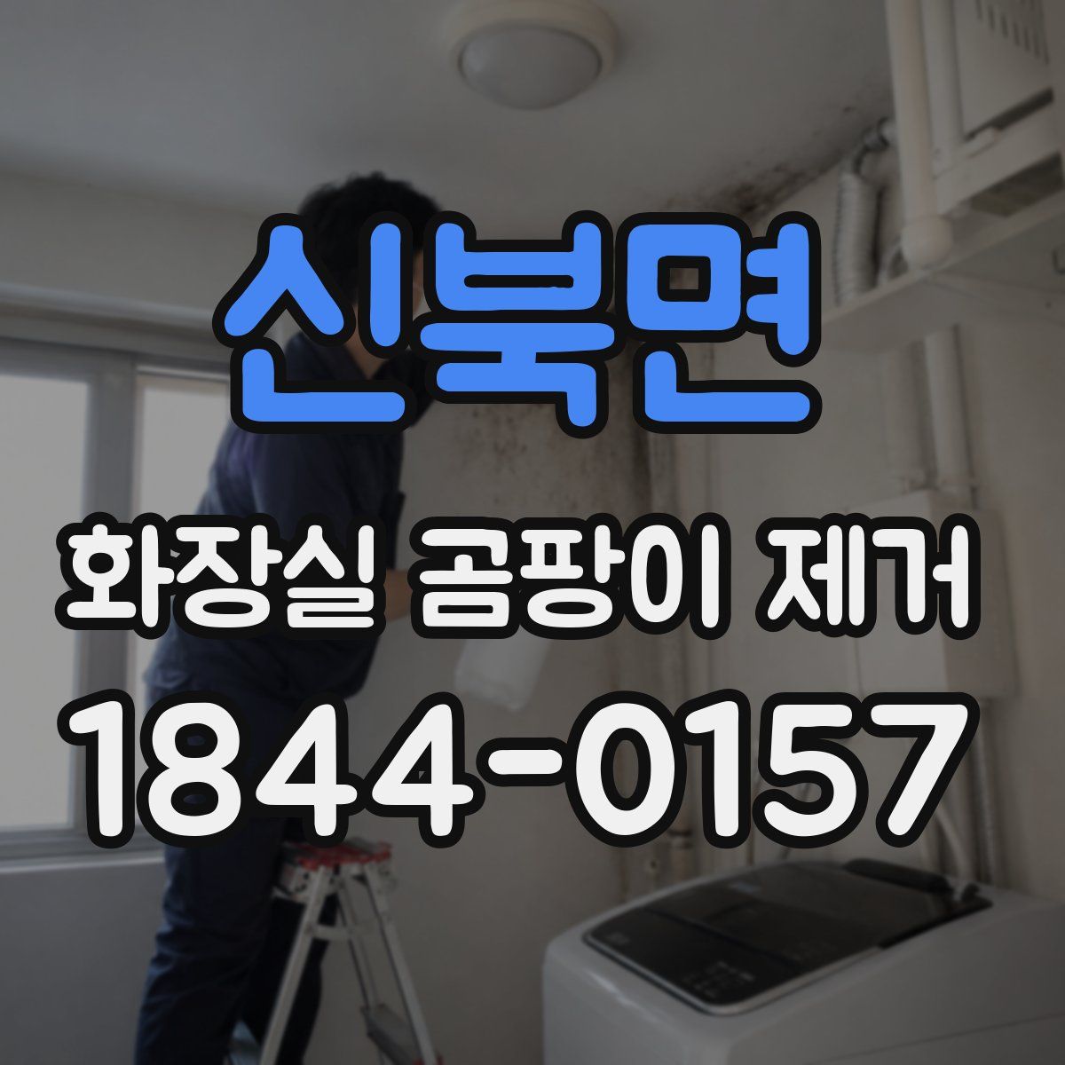 신북면 화장실 곰팡이 제거