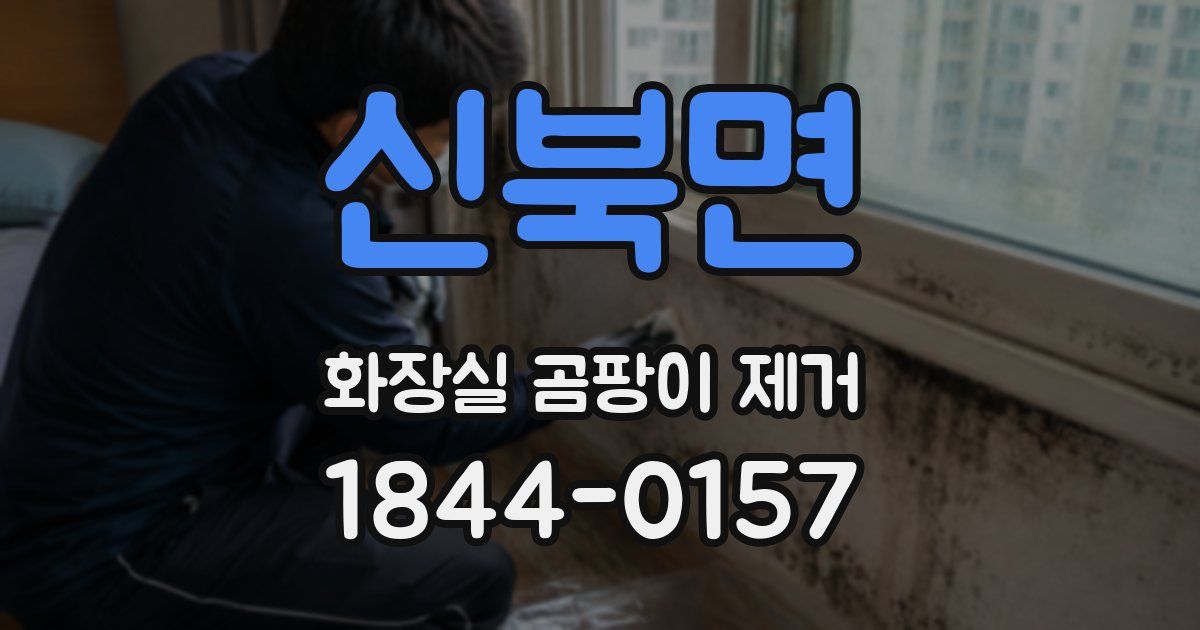 신북면 화장실 곰팡이 제거