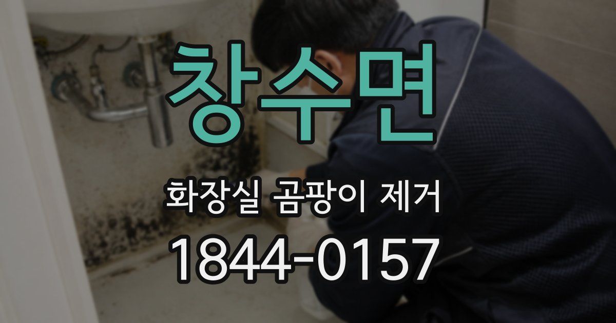 창수면 화장실 곰팡이 제거