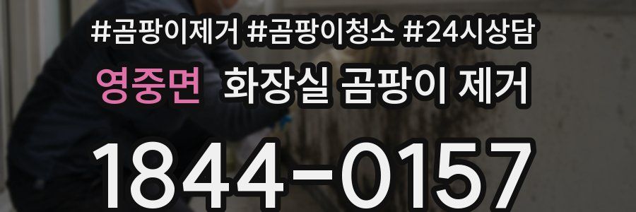 영중면 화장실 곰팡이 제거