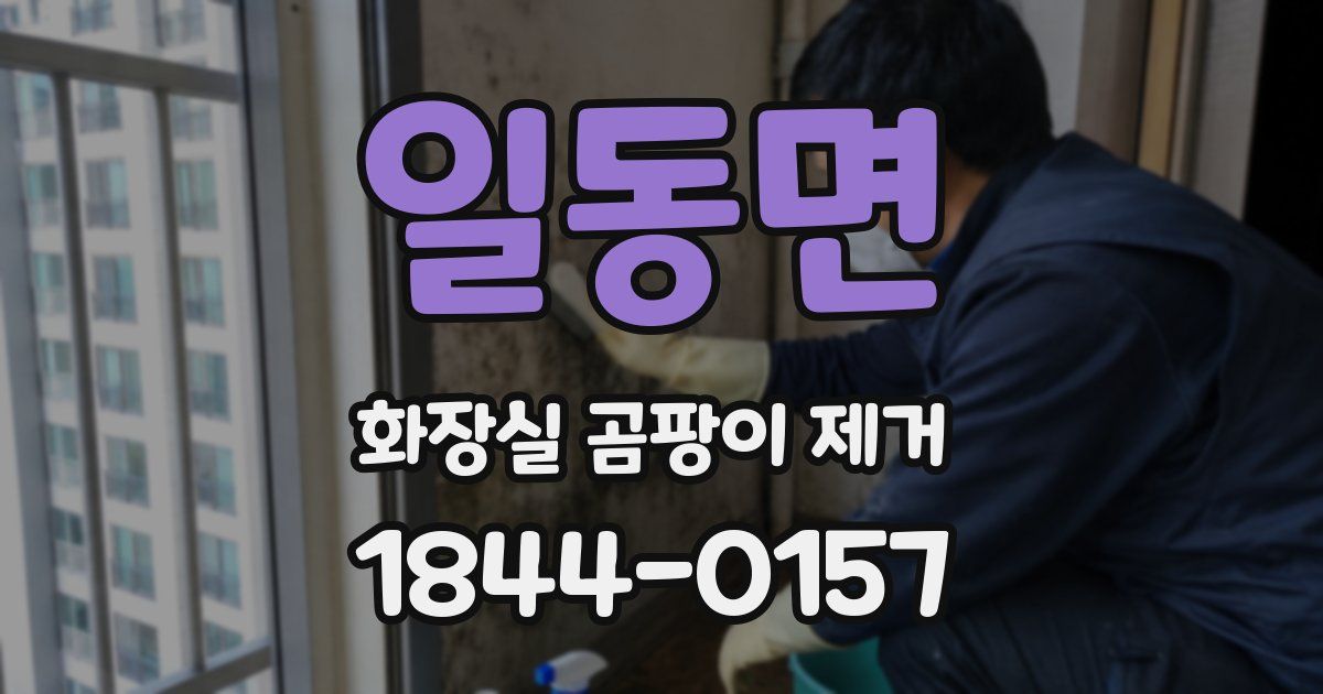 일동면 화장실 곰팡이 제거