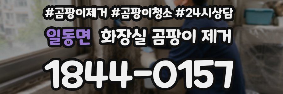 일동면 화장실 곰팡이 제거