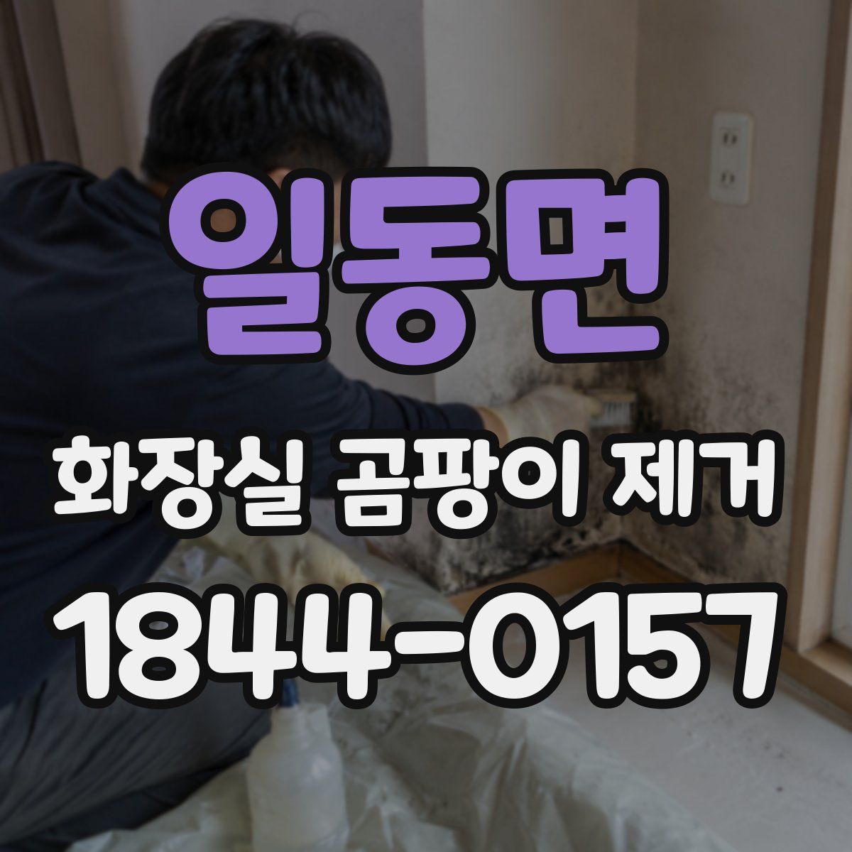일동면 화장실 곰팡이 제거