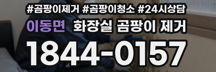 이동면 화장실 곰팡이 제거