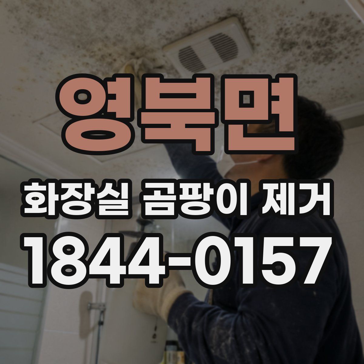 영북면 화장실 곰팡이 제거