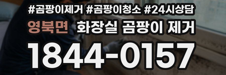 영북면 화장실 곰팡이 제거