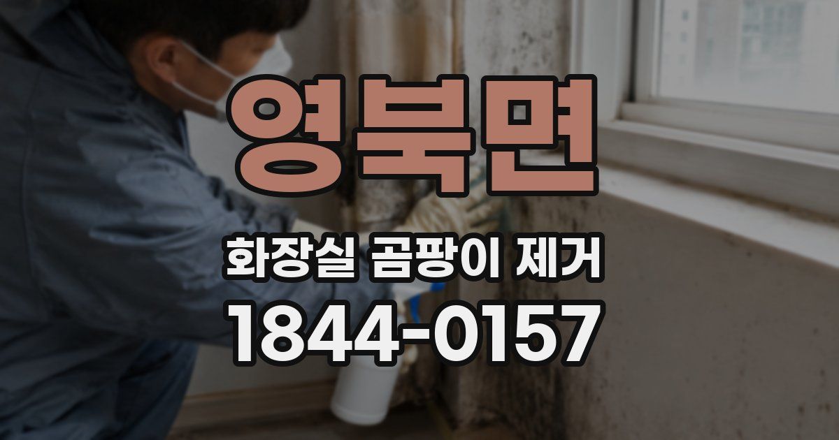 영북면 화장실 곰팡이 제거