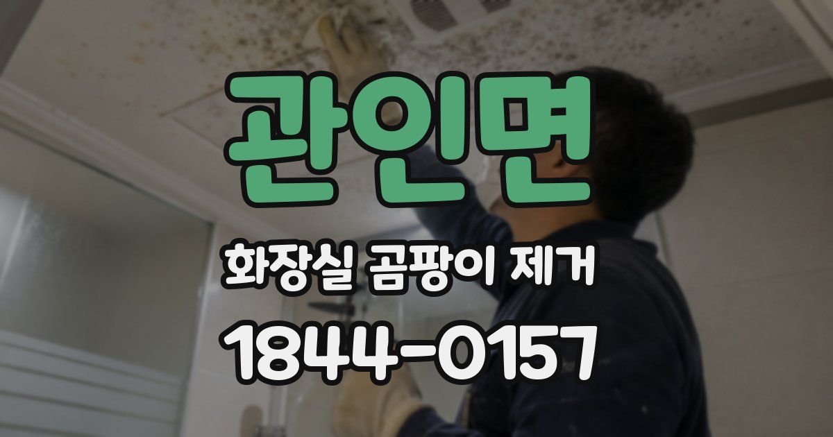 관인면 화장실 곰팡이 제거