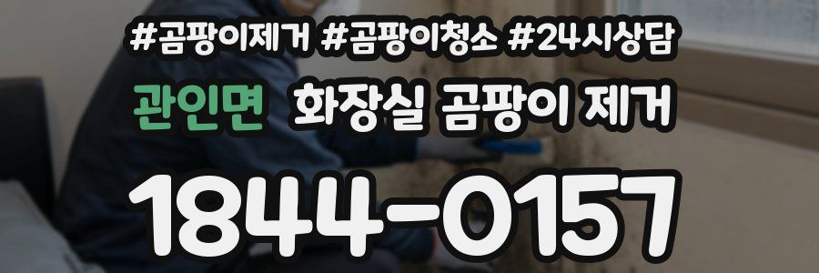 관인면 화장실 곰팡이 제거