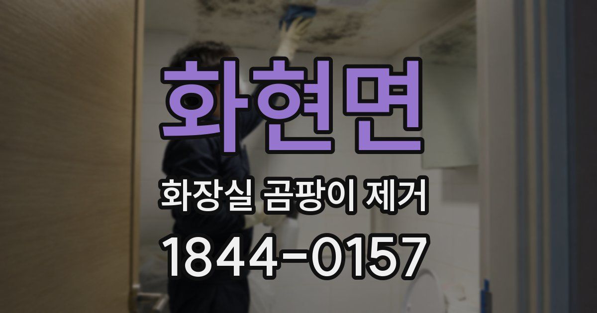 화현면 화장실 곰팡이 제거