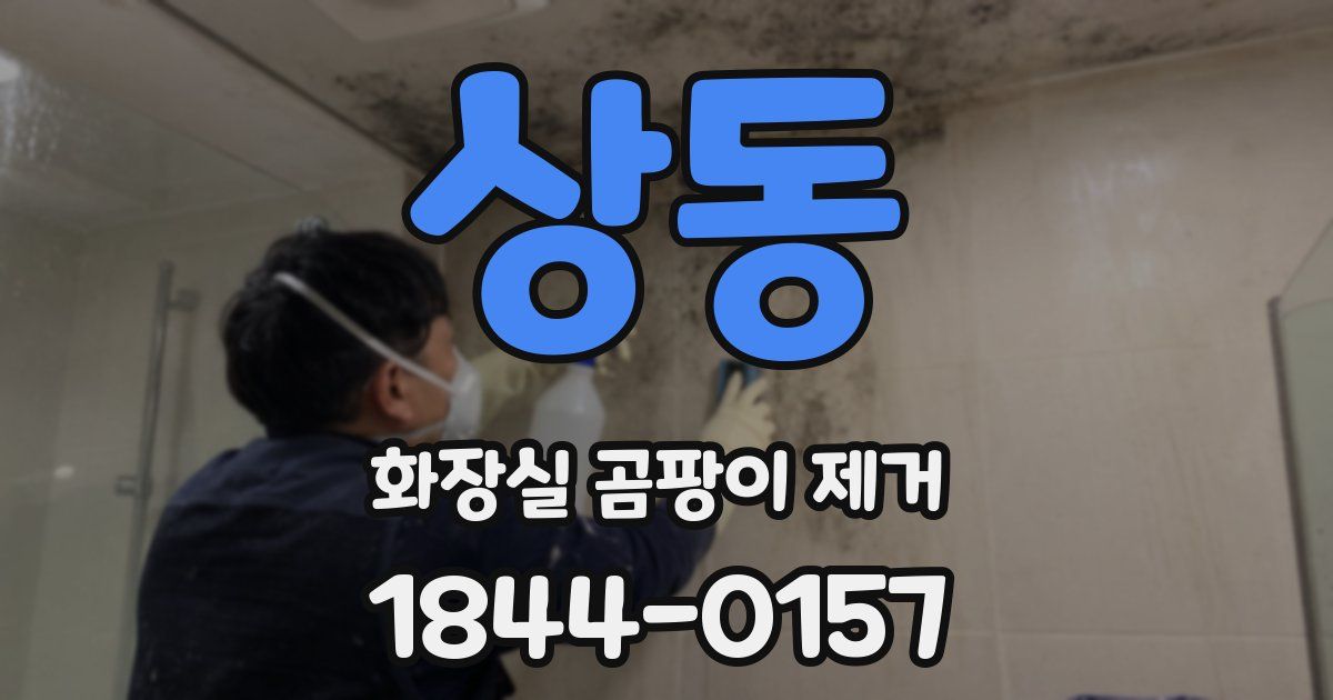 상동 화장실 곰팡이 제거