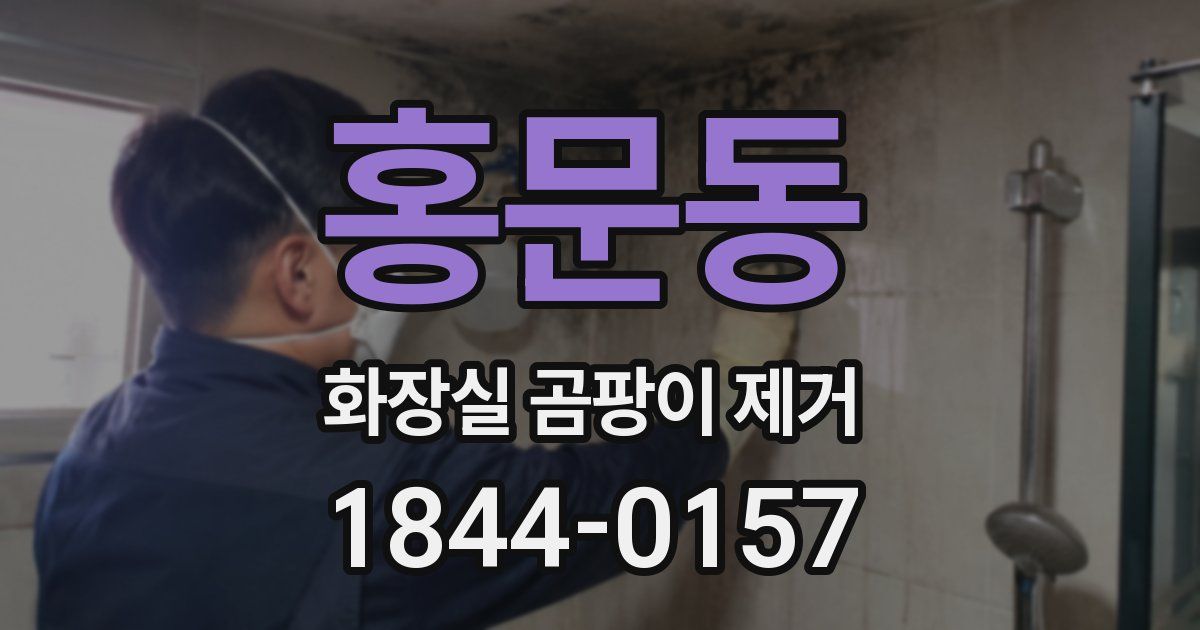 홍문동 화장실 곰팡이 제거