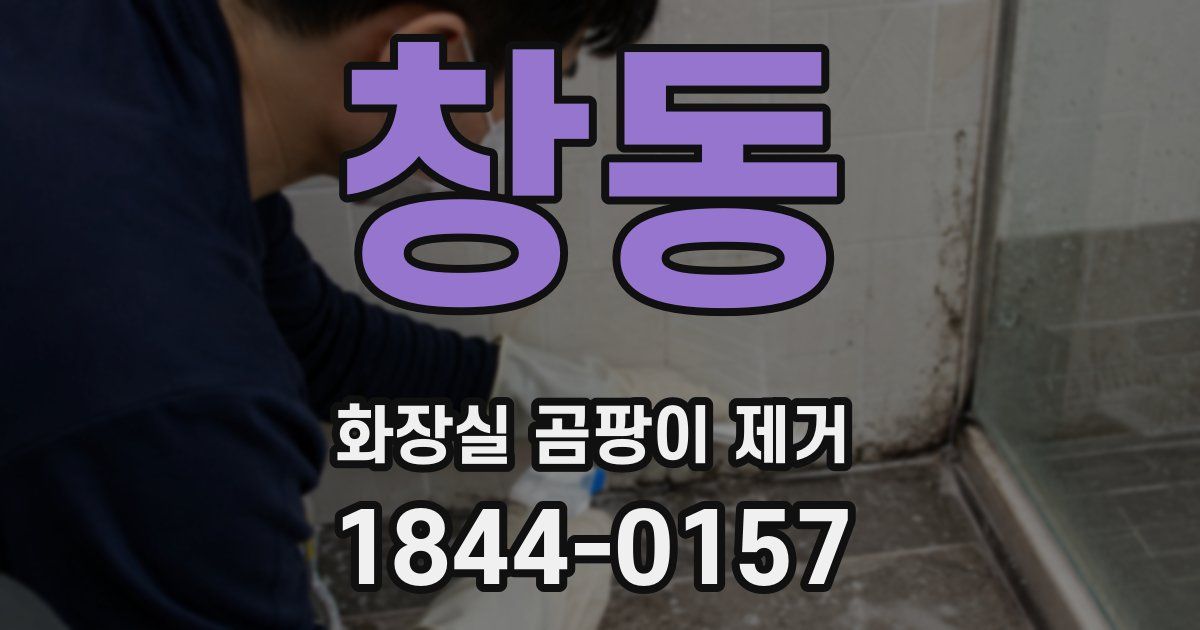 창동 화장실 곰팡이 제거