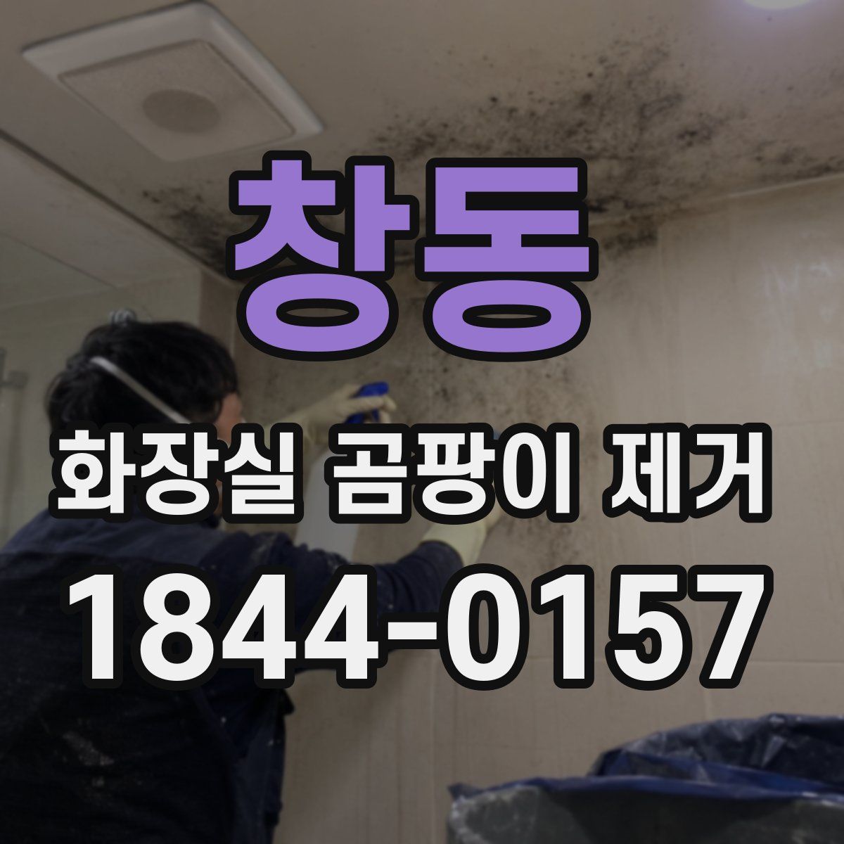 창동 화장실 곰팡이 제거