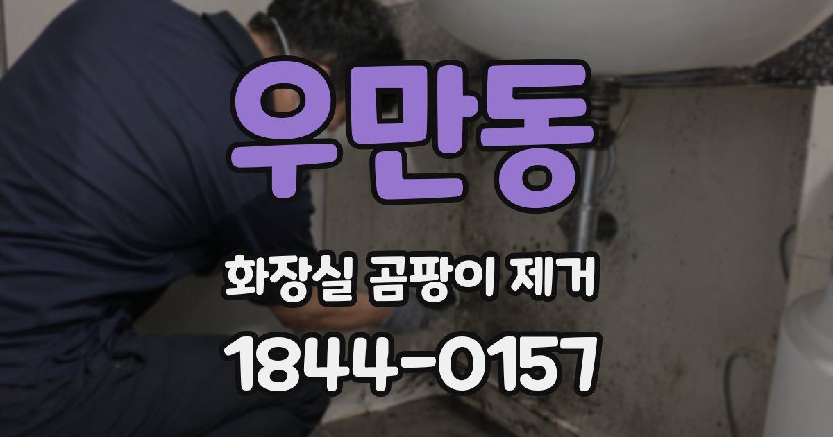 우만동 화장실 곰팡이 제거