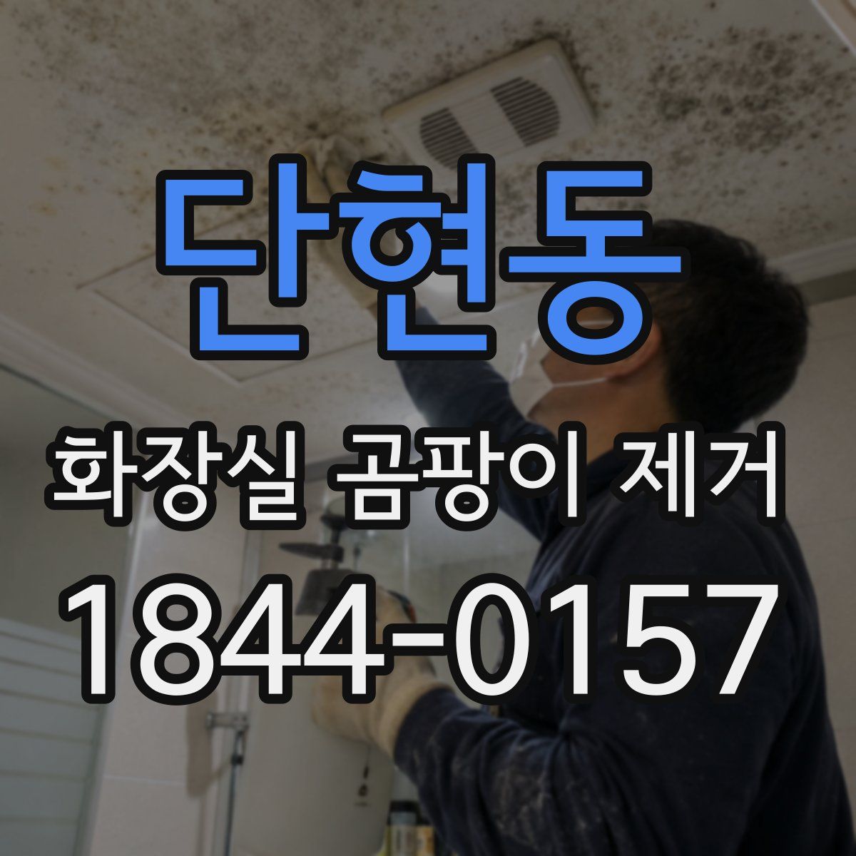 단현동 화장실 곰팡이 제거