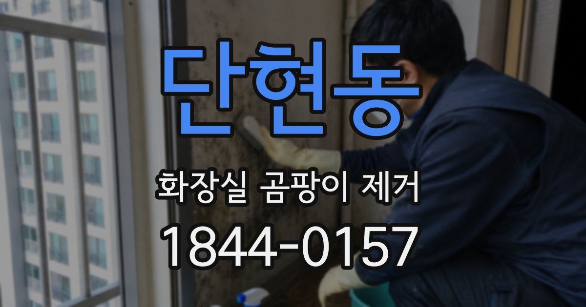 단현동 화장실 곰팡이 제거