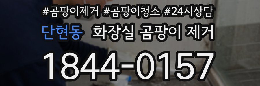 단현동 화장실 곰팡이 제거