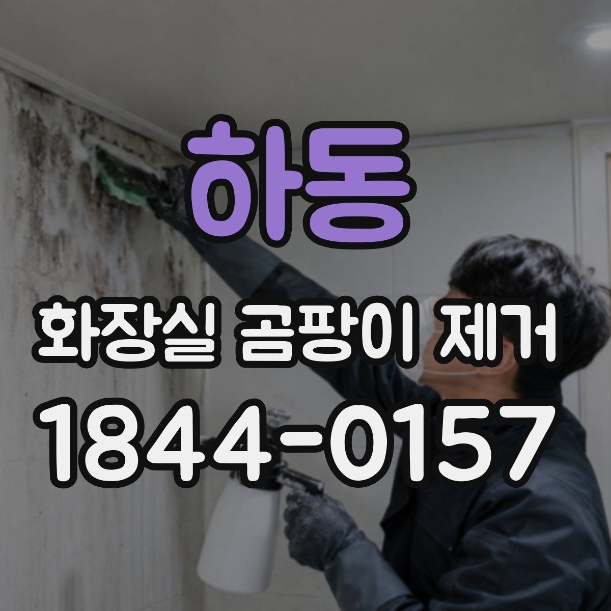 하동 화장실 곰팡이 제거