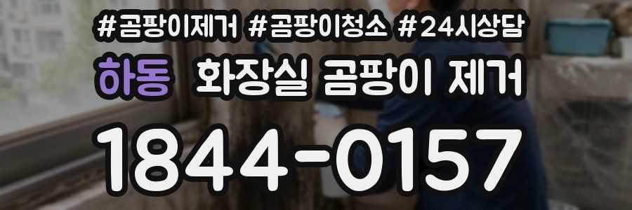 하동 화장실 곰팡이 제거