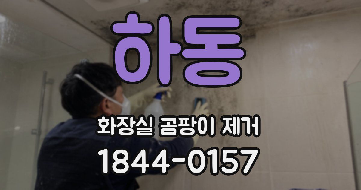 하동 화장실 곰팡이 제거