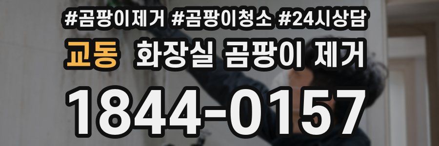 교동 화장실 곰팡이 제거