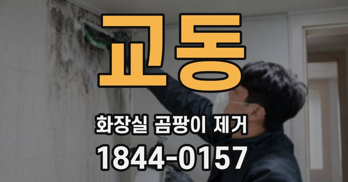 교동 화장실 곰팡이 제거