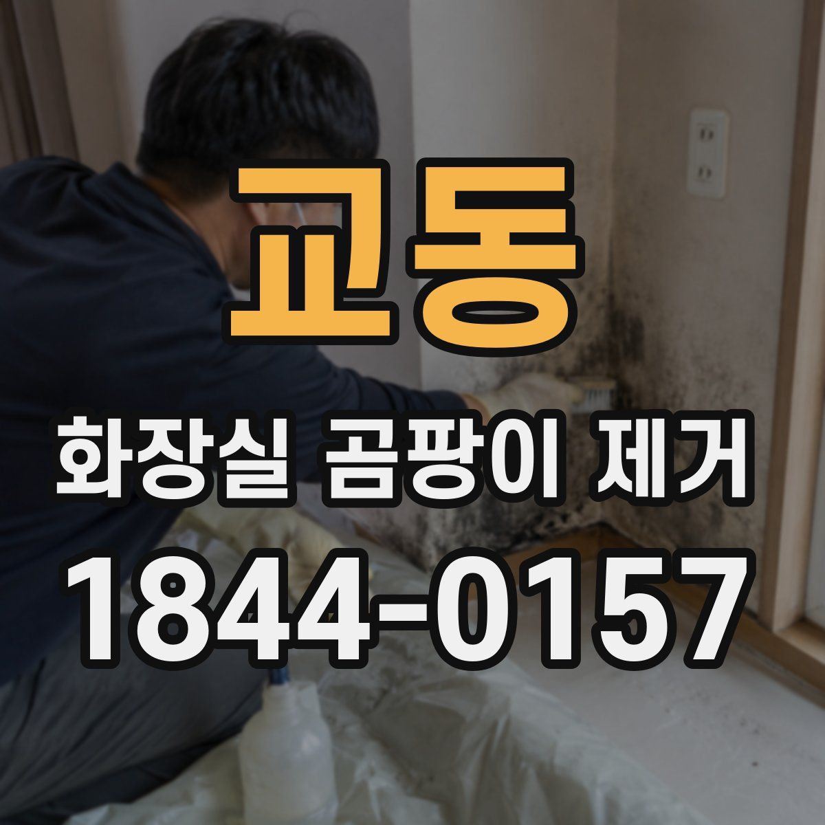 교동 화장실 곰팡이 제거