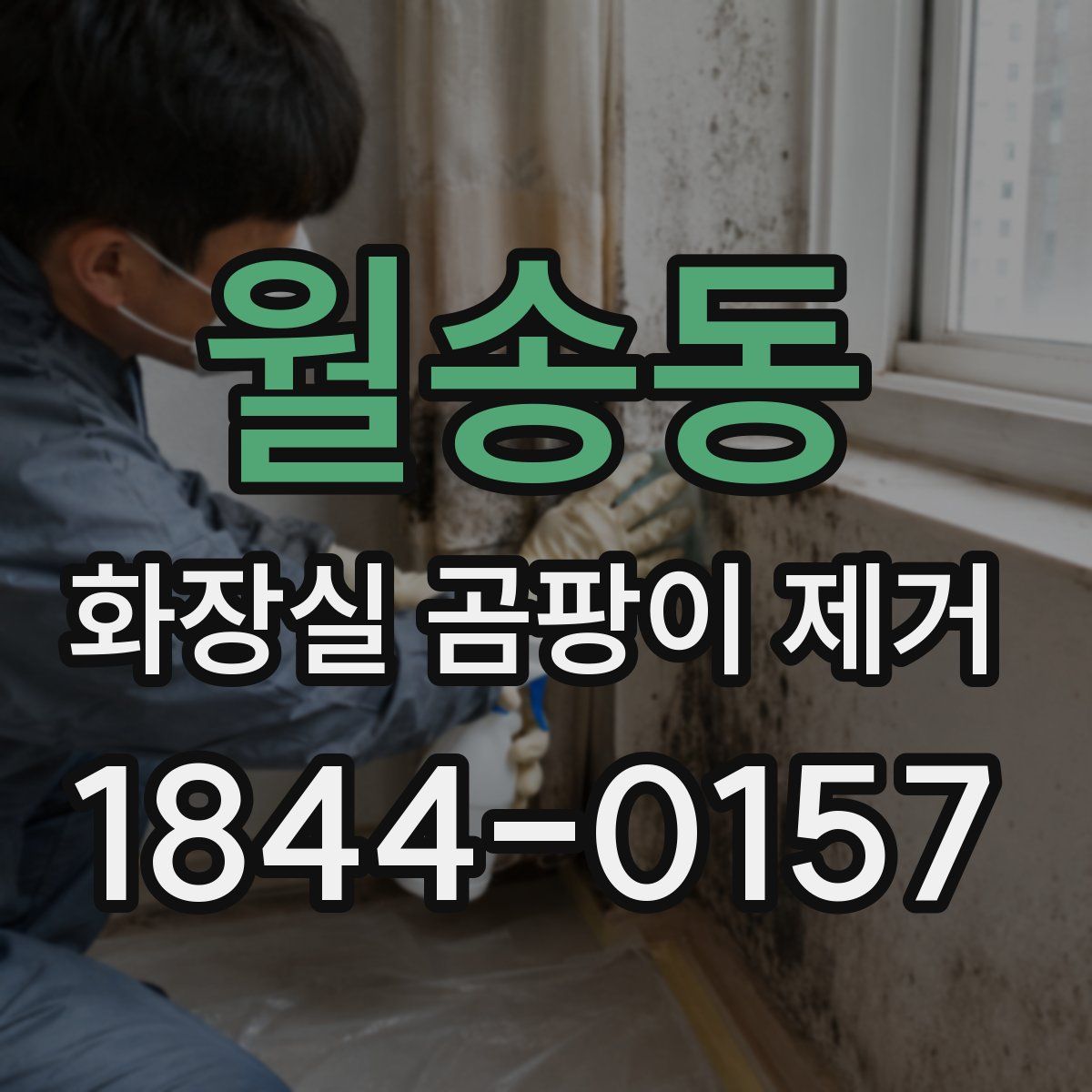 월송동 화장실 곰팡이 제거