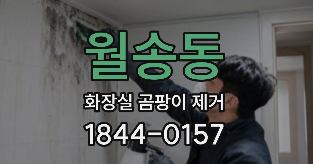 월송동 화장실 곰팡이 제거