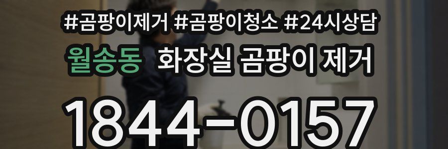 월송동 화장실 곰팡이 제거