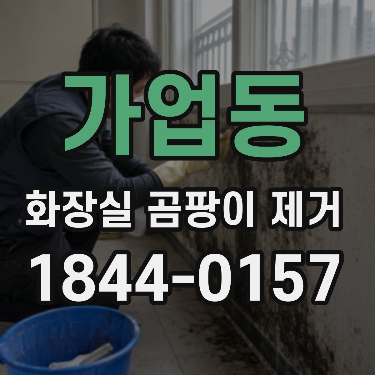 가업동 화장실 곰팡이 제거 배수구 주변부 냄새와 오염을 함께 보는 법