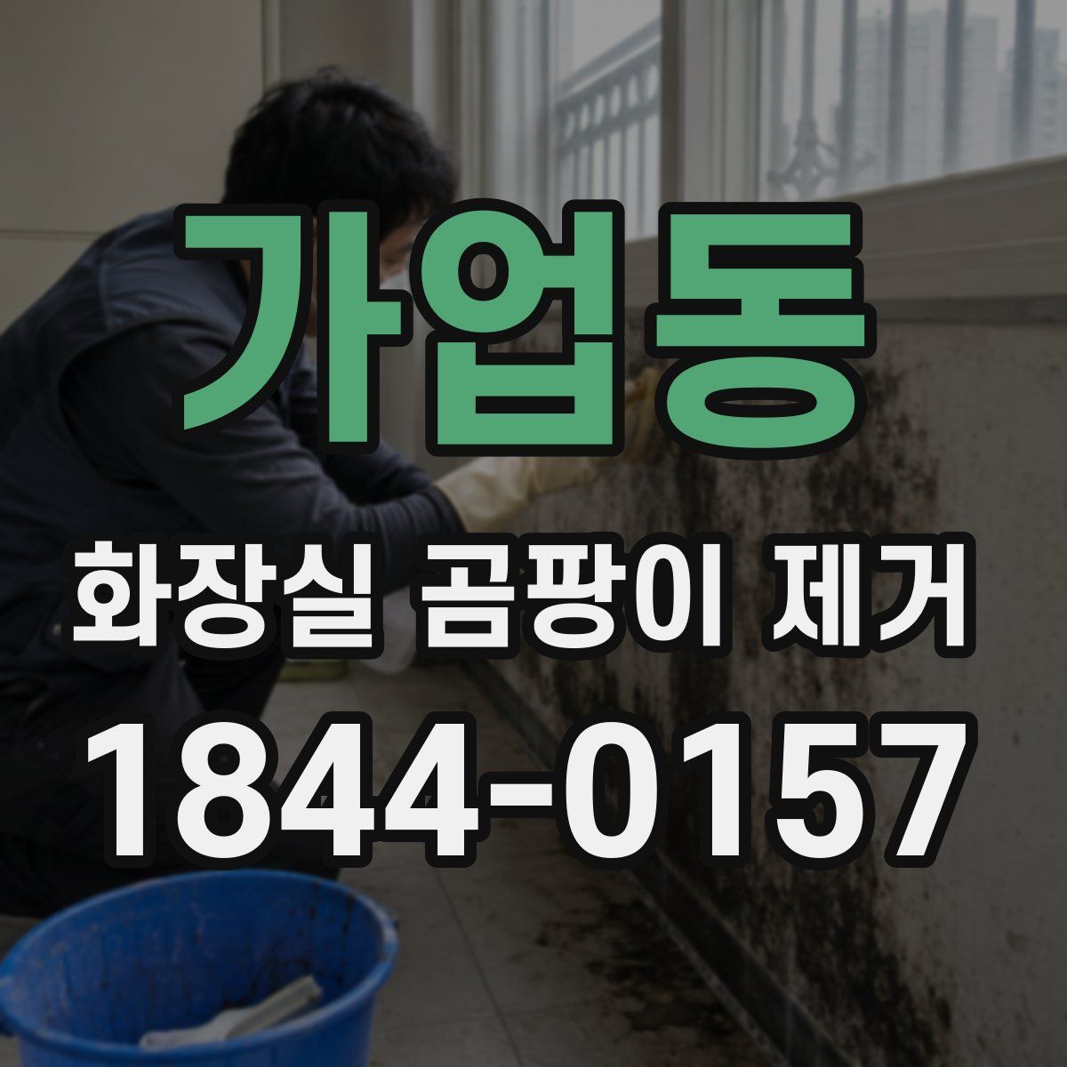 가업동 화장실 곰팡이 제거