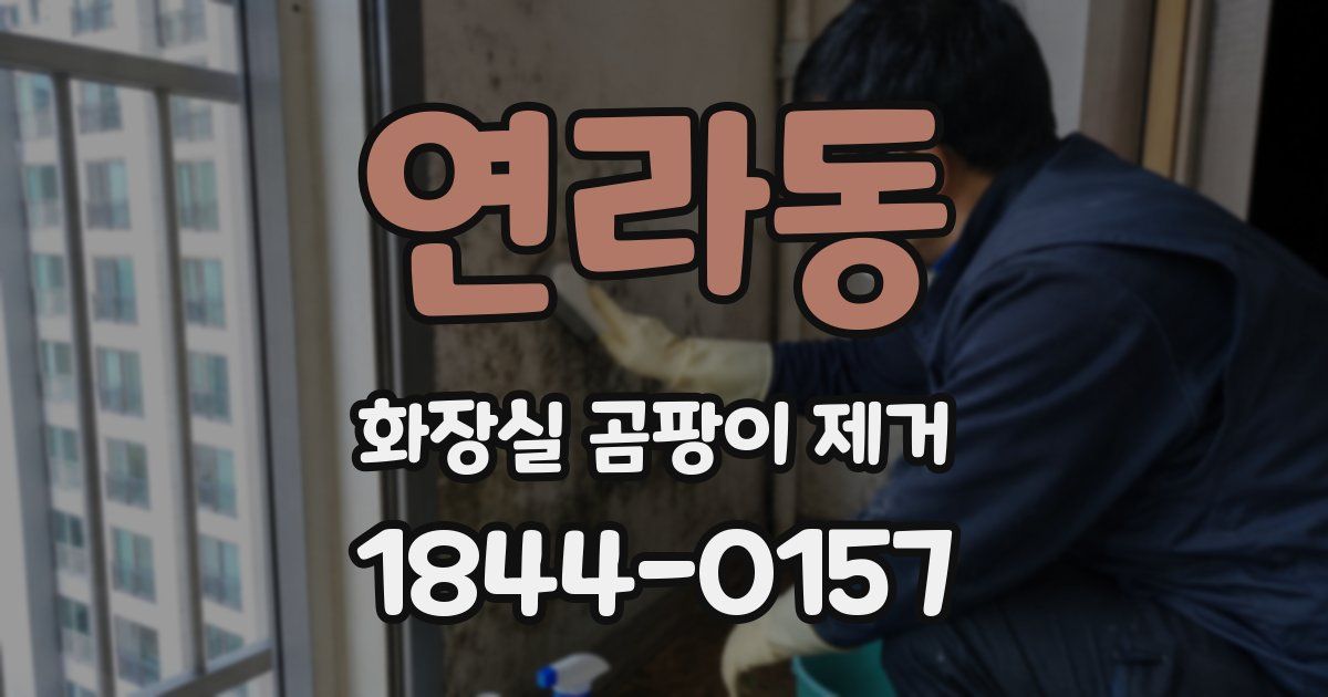 연라동 화장실 곰팡이 제거