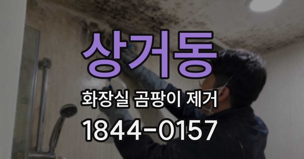 상거동 화장실 곰팡이 제거