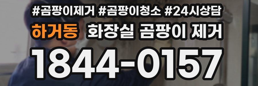 하거동 화장실 곰팡이 제거
