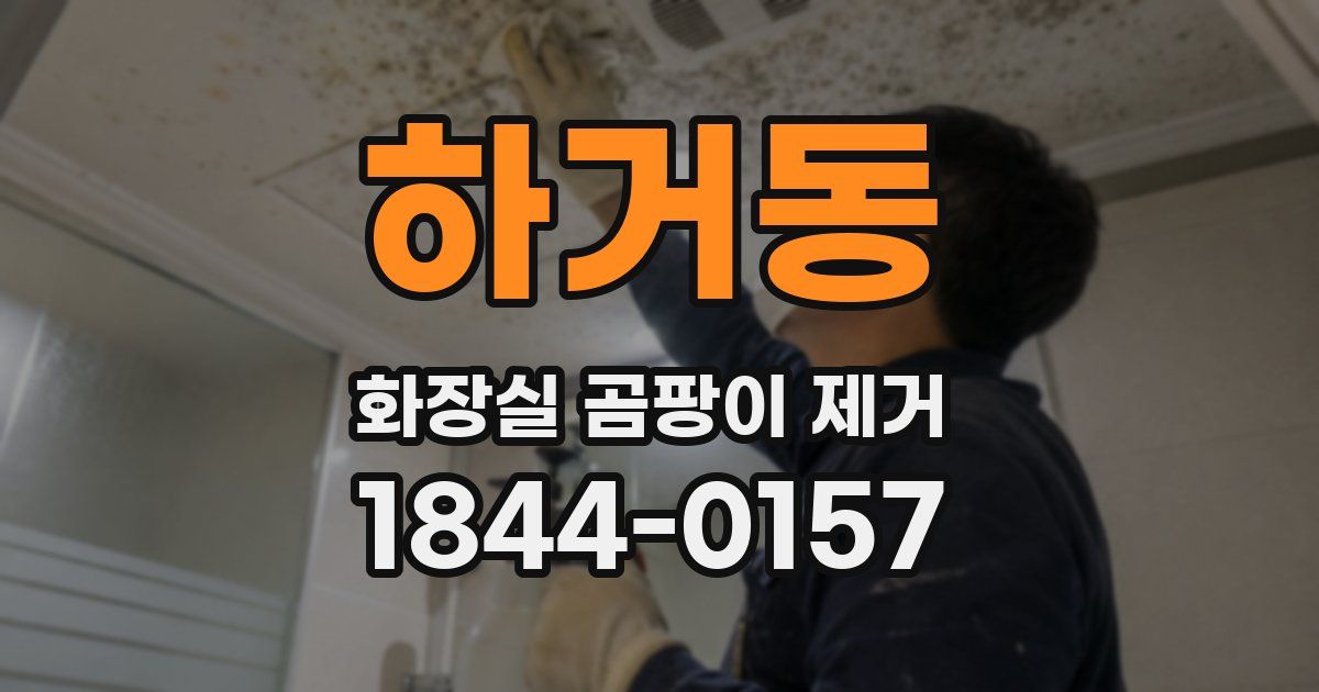하거동 화장실 곰팡이 제거