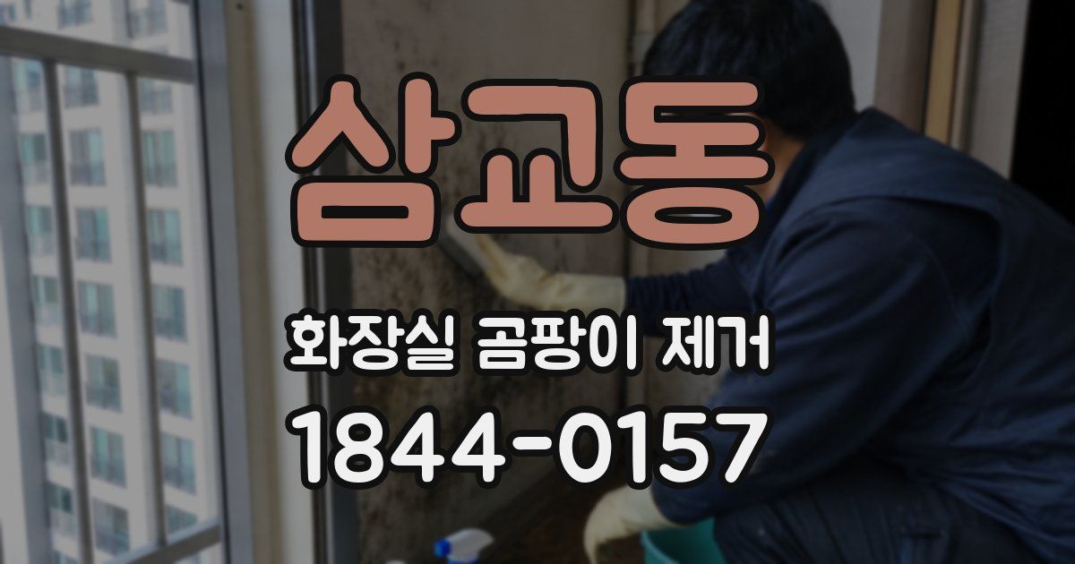 삼교동 화장실 곰팡이 제거