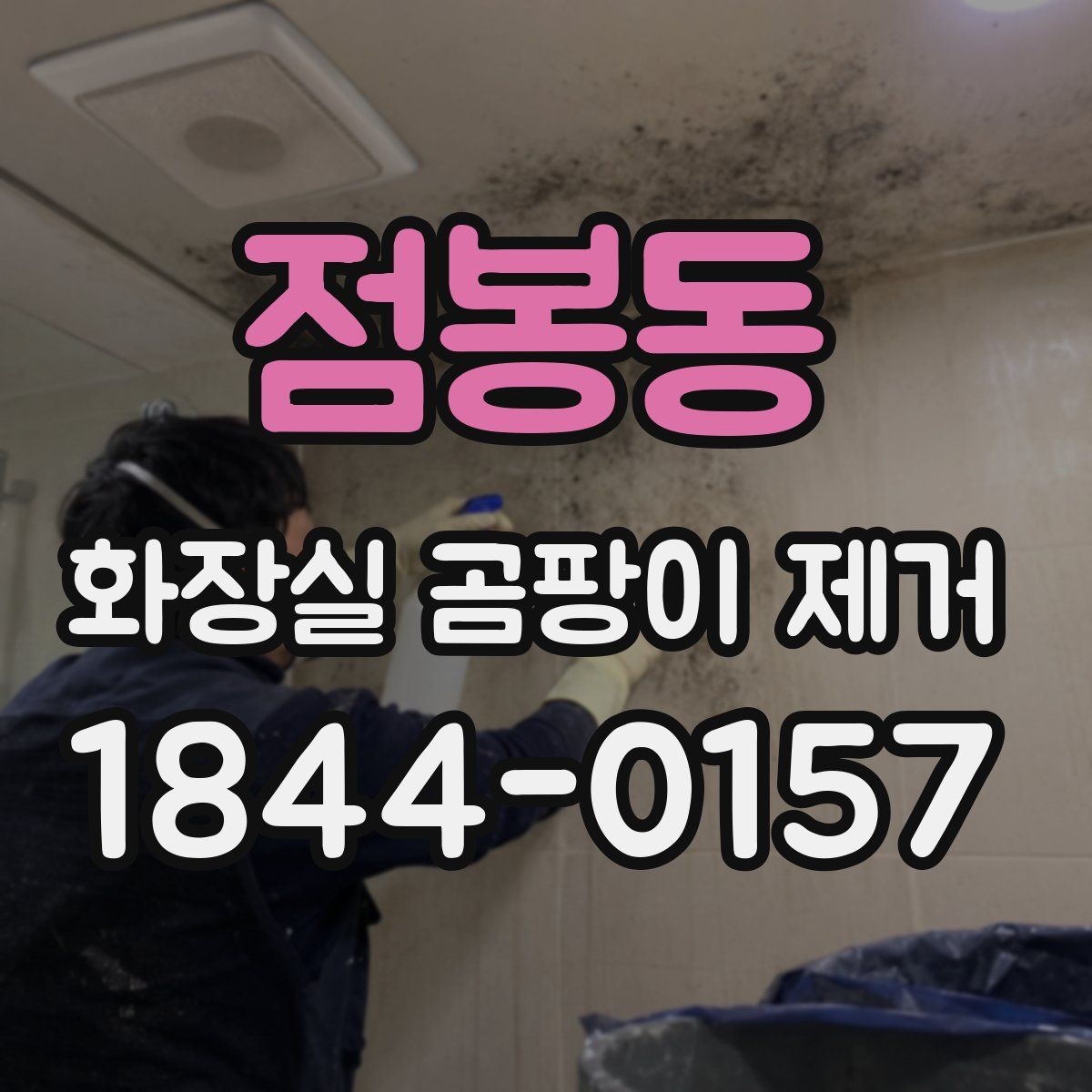 점봉동 화장실 곰팡이 제거