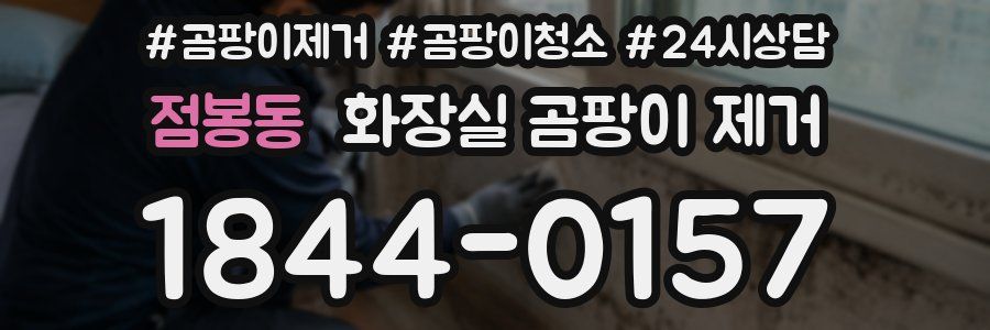 점봉동 화장실 곰팡이 제거