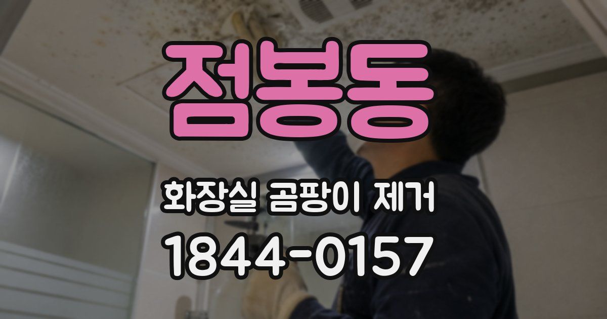 점봉동 화장실 곰팡이 제거