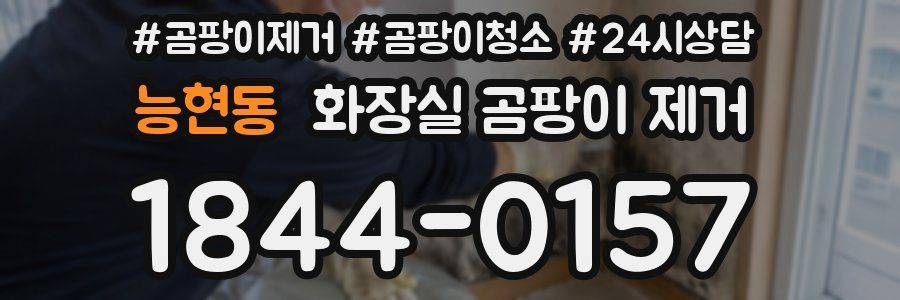 능현동 화장실 곰팡이 제거