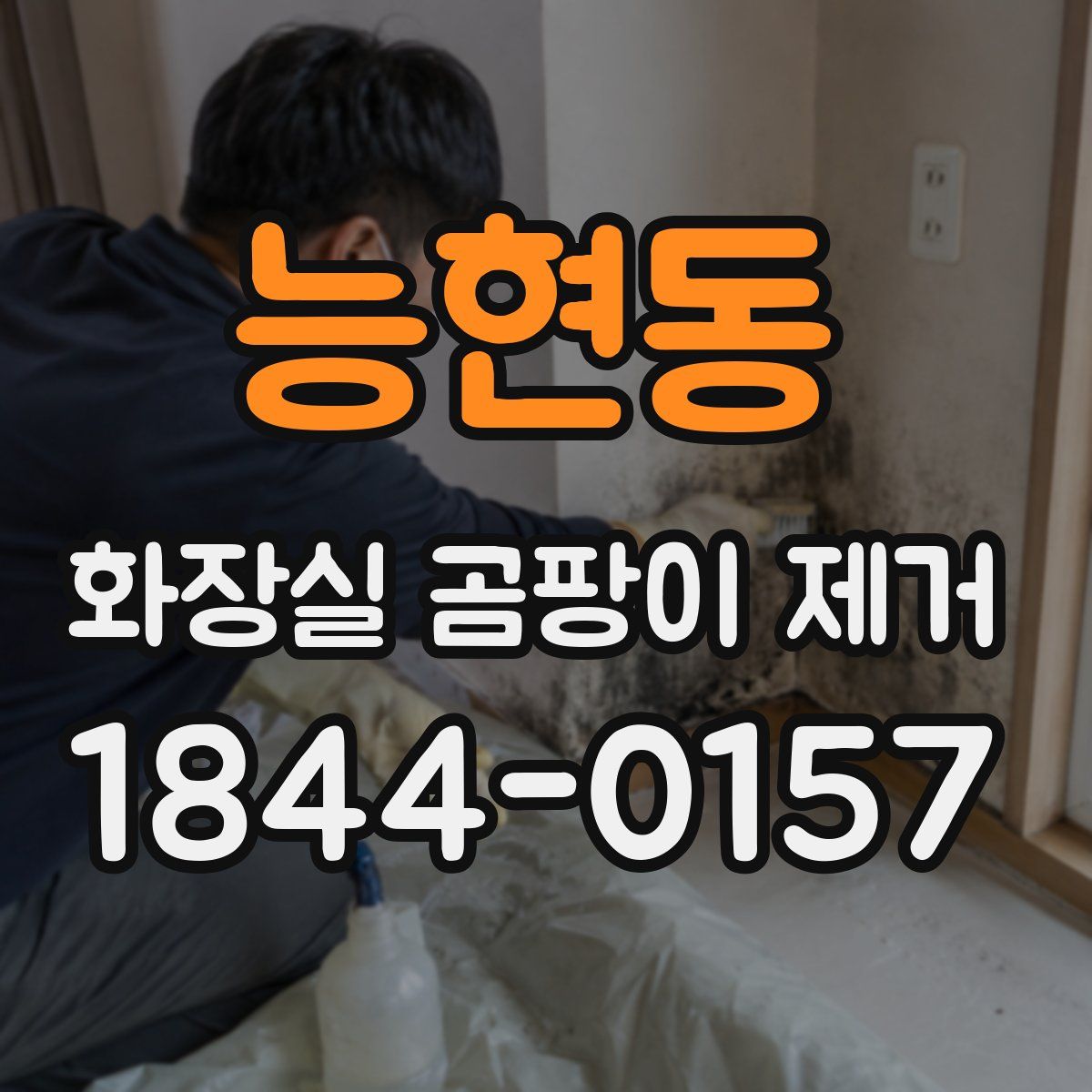 능현동 화장실 곰팡이 제거