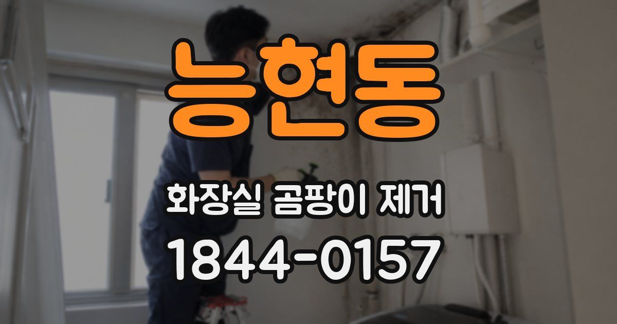 능현동 화장실 곰팡이 제거